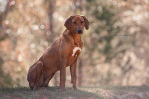 3e0a7355 bearbeitet