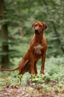 3e0a0523 bearbeitet