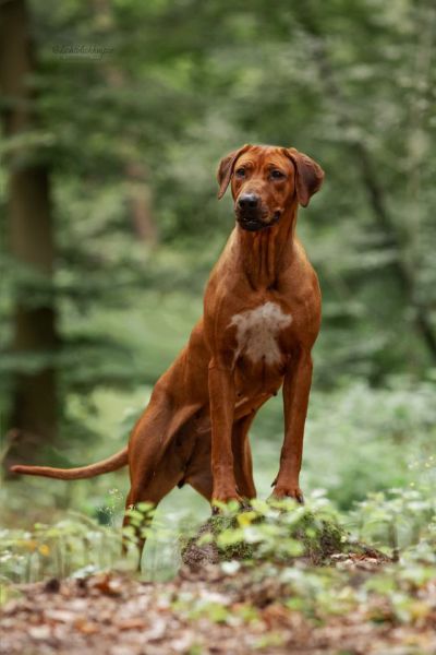 3e0a0523 bearbeitet