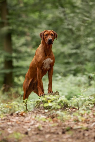 3e0a0524 bearbeitet