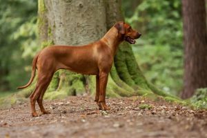 3e0a0554 bearbeitet