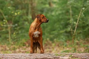 3e0a0595 bearbeitet