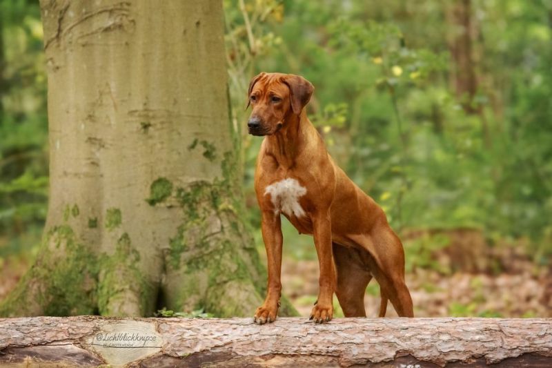 3e0a0640 bearbeitet