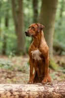 3e0a0821 bearbeitet