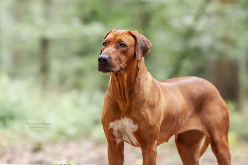 3e0a0853 bearbeitet