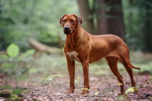 3e0a0862 bearbeitet