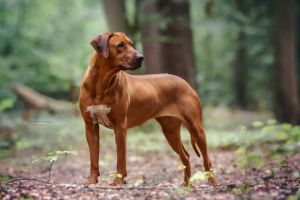 3e0a0876 bearbeitet